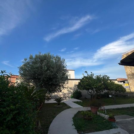 Villa Cycas Cellole Exterior foto