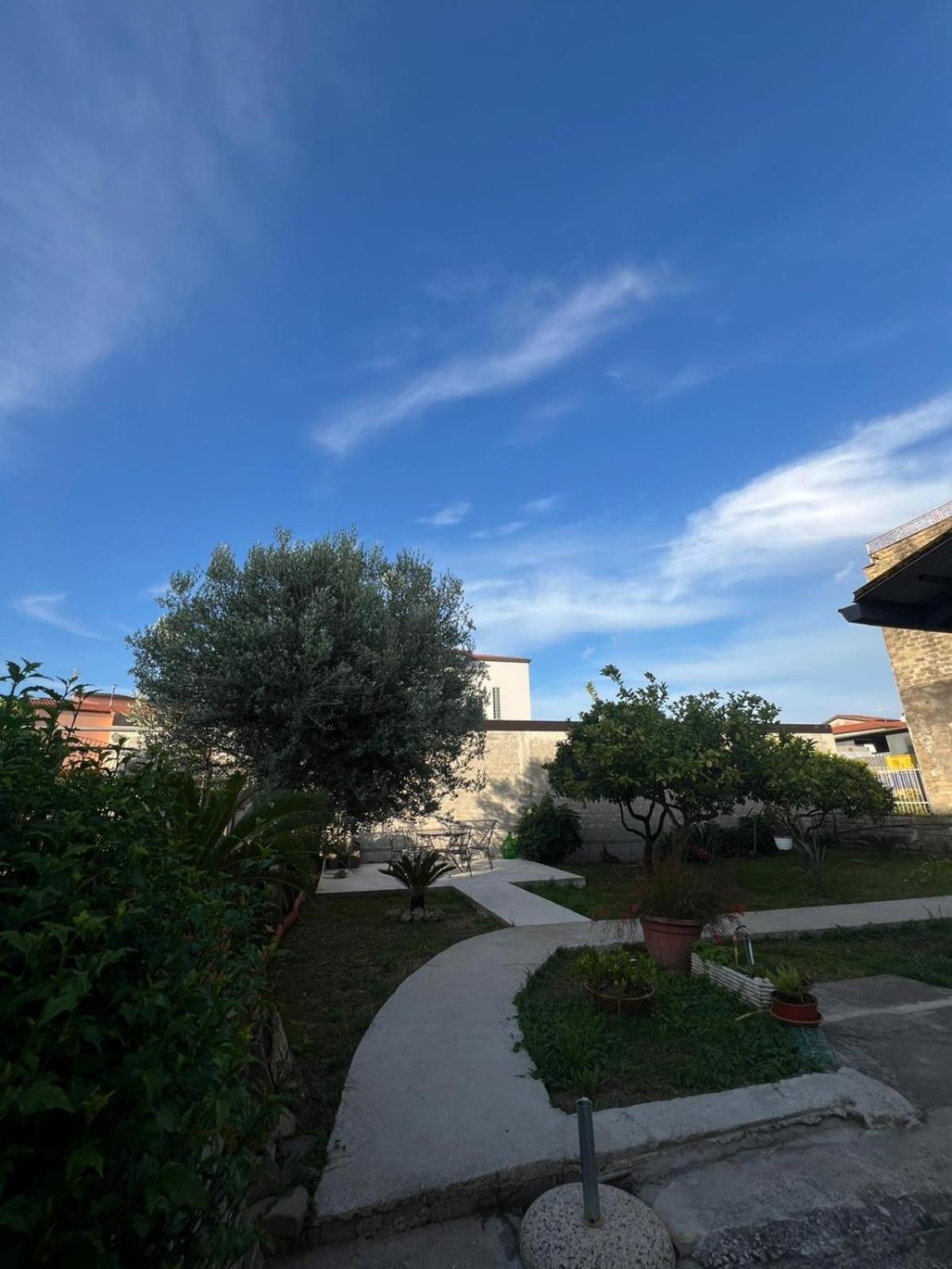 Villa Cycas Cellole Exterior foto